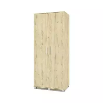 Шкаф Пандора-П21 520х900х2100 двухстворчатый Дуб ирландский