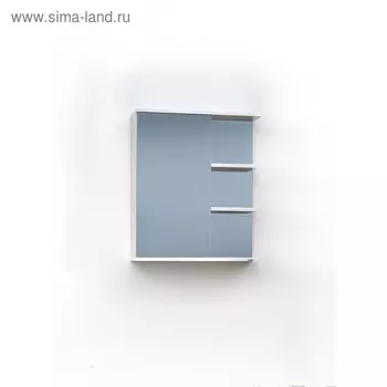 Шкаф-зеркало Экко правый50