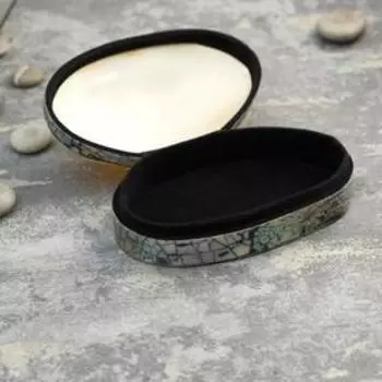 Шкатулка "Аша" 15х9,5х5 см ракушка