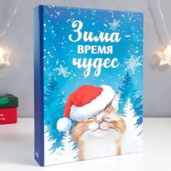 Шкатулка-книга "Кот. Зима" 17х23 см