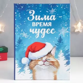 Шкатулка-книга "Кот. Зима" 17х23 см