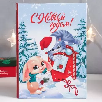 Шкатулка-книга "СГ. Почта" 17х23 см