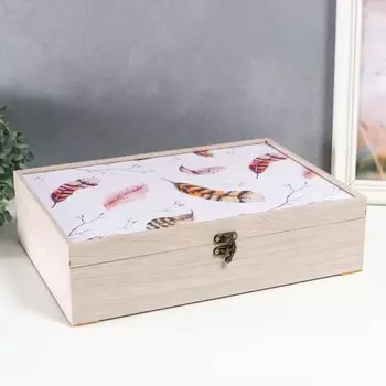 Шкатулка Молочный дуб 25,5х35,5х9 см