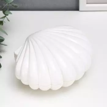 Шкатулка музыкальная механическая «Белая ракушка», пластик, 7.515.512 см