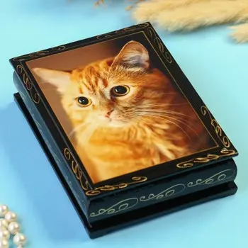 Шкатулка "Рыжий кот"10×14 см, черная