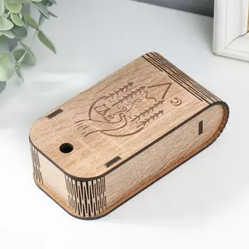 Шкатулка "Тропинка" 13х7х4 см