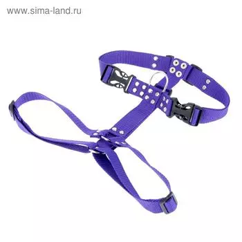 Шлейка большая сложная Зооник, ОШ 48-86 см, ОГ 56-84 см, ширина 2,5 см микс цветов