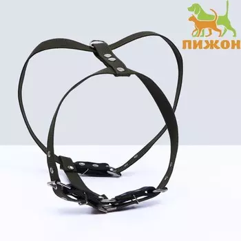 Шлейка брезентовая «Прогулочная», 2.5 см, ОШ 46-58 см, ОГ 78-85 см