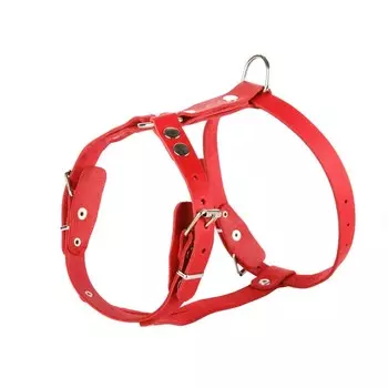 Шлейка кожаная однослойная ОШ 42-53 см, ОГ 38-64 см, ширина 2 см, красная