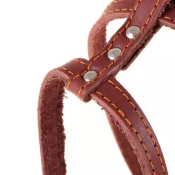 Шлейка кожаная "Прогулочная", 1,5 см, ОШ35-50 см, ОГ 60-68 см, чёрный