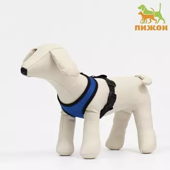 Шлейка мягкая из неопрена, размер S, ОШ 24 см, ОГ 24-34 см, синяя
