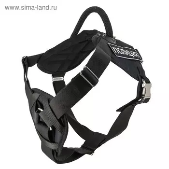 Шлейка нейлоновая с грудью с металлической фурнитурой (разм M) ОШ 60-70см, ОГ 70-90 с нашивками, мик