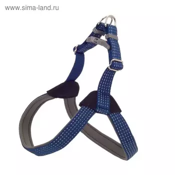 Шлейка "Премиум" светоотражающая, 2,5 см, ОШ 62-74см, ОГ 74-84см, нейлон и неопрен, синяя