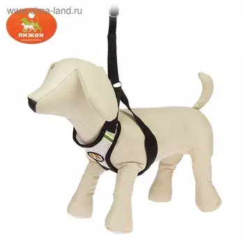 Шлейка регулируемая дышащая, светоотражающая, размер L, (ОГ 44-64 см, ОШ 40-60 см), чёрная