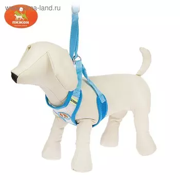 Шлейка регулируемая дышащая, светоотражающая, размер XL (ОШ 48-68; ОГ 58-72 см), голубая