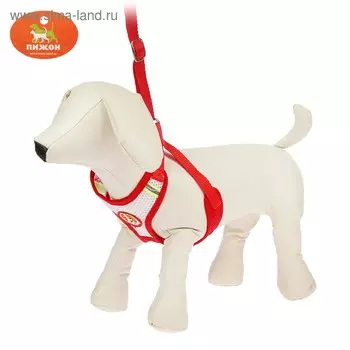 Шлейка регулируемая дышащая, светоотражающая, размер XL (ОШ 48-68; ОГ 58-72 см), красная