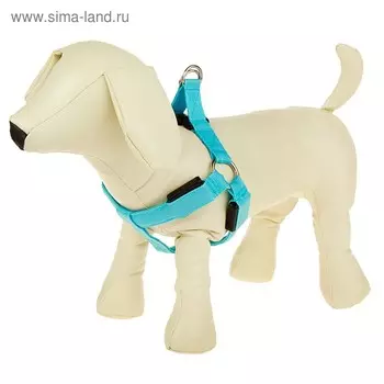 Шлейка светящаяся на батарейках, M, ширина 2,5 см, ОГ 40 см, 3 режима свечения, голубая