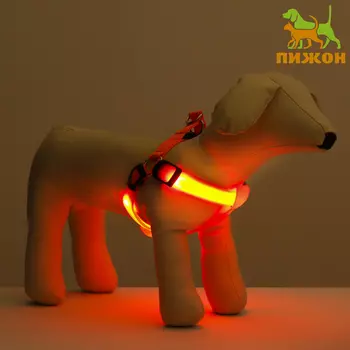 Шлейка светящаяся размер L, стропа 2.5 см, ОГ 43-60 см, 3 режима свечения оранжевая