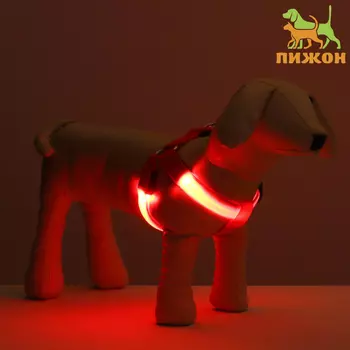 Шлейка светящаяся размер M, стропа 2.5 см, ОГ 38-50 см, 3 режима свечения красная