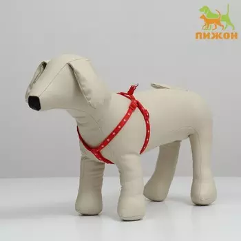 Шлейка «Звезды», 27-421 см, красная