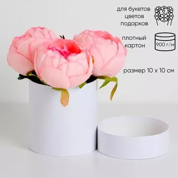 Шляпная коробка белая, 1010 см