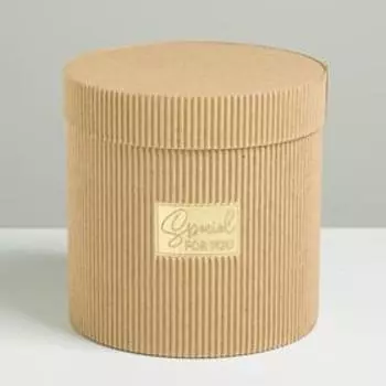 Коробка подарочная шляпная из микрогофры, упаковка, «Special for you», 15 х 15 х 15 см