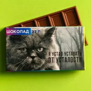 Шоколад молочный «Я устал уставать», 27 г.