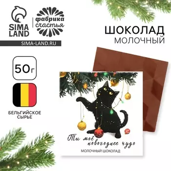 Шоколад в коробке "Моё новогоднее чудо", 50 г