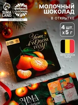 Шоколад в новогодней открытке «Мандарины», 5 г х 4 шт.