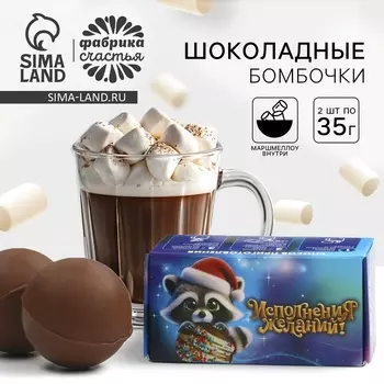 Шоколадная бомбочка в коробке "Енот" 2 шт х 35 г