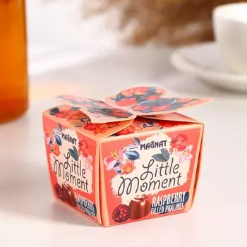Шоколадные конфеты MAGNAT Little Moment Raspberry, 53 г