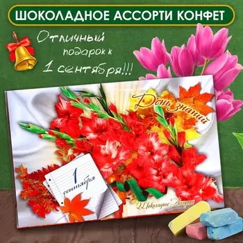 Шоколадные конфеты в коробке «1 сентября», Ассорти, 200 г
