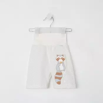 Шорты детские, цвет молочный/енот, рост 68 см