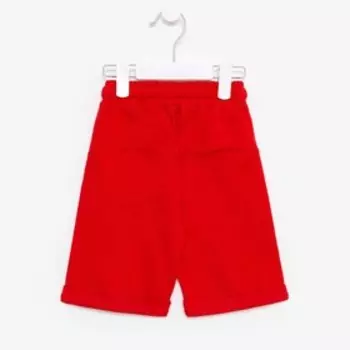 Шорты для мальчика, цвет красный, рост 110 см