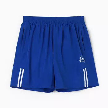 Шорты купальные мужские, цвет синий, размер 58