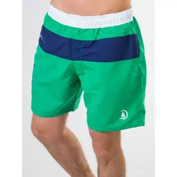 Шорты мужские Isee, размер 54, цвет зелёный, синий