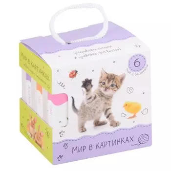 Шоубокс «Мир в картинках»