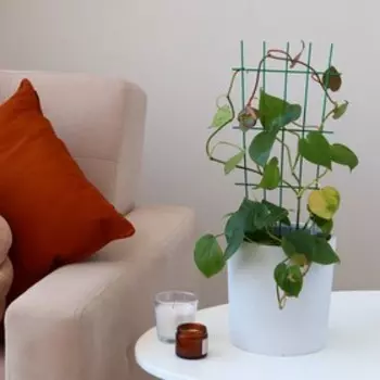 Шпалера, 40 20 0.3 см, металл, зелёная, «Решётка»