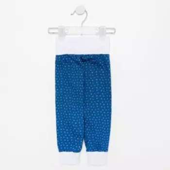 Штанишки детские «Енот», цвет синий, рост 68 см