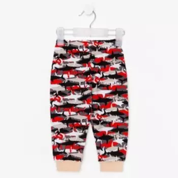 Штанишки на манжете, цвет серый/акулы, рост 68 см