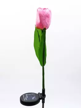 Штекер с подсветкой «Тюльпан», на солнечной батарее, розовый, 870 см