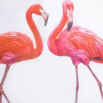 Штора для ванной Доляна «Неразлучники», с люверсами, 180×180 см, полиэстер