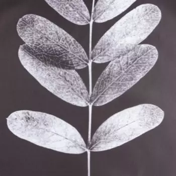 Штора для ванной водоотталкивающая «Этель» Natural print, 145180 см, ткань оксфорд, серая