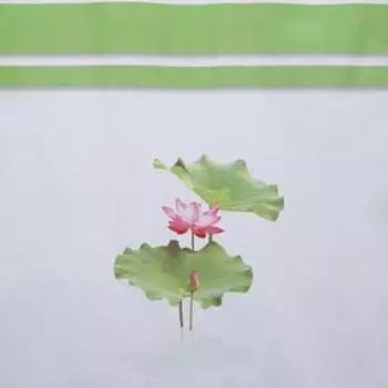 Штора для ванной комнаты Доляна «Лилия», 180×180 см, EVA