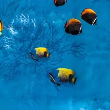 Штора для ванны Доляна «Рыбки», 180180 см, EVA