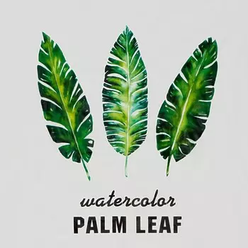 Штора для ванной Доляна «Тропики», 180180 см, EVA