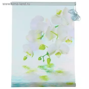 Штора-ролет Магеллан (шторы и фурнитура) «Орхидея», размер 50160 см, цвет голубой