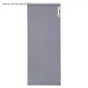 Штора рулонная 50 х 175 см «Дельфы», цвет серый