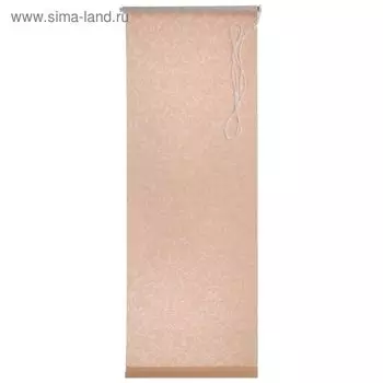 Штора рулонная «Дельфы» 140 х 175 см, цвет тёмно-бежевый