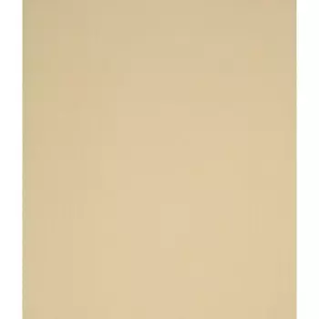 Штора рулонная «Лайт», 47х175 см, цвет шампань